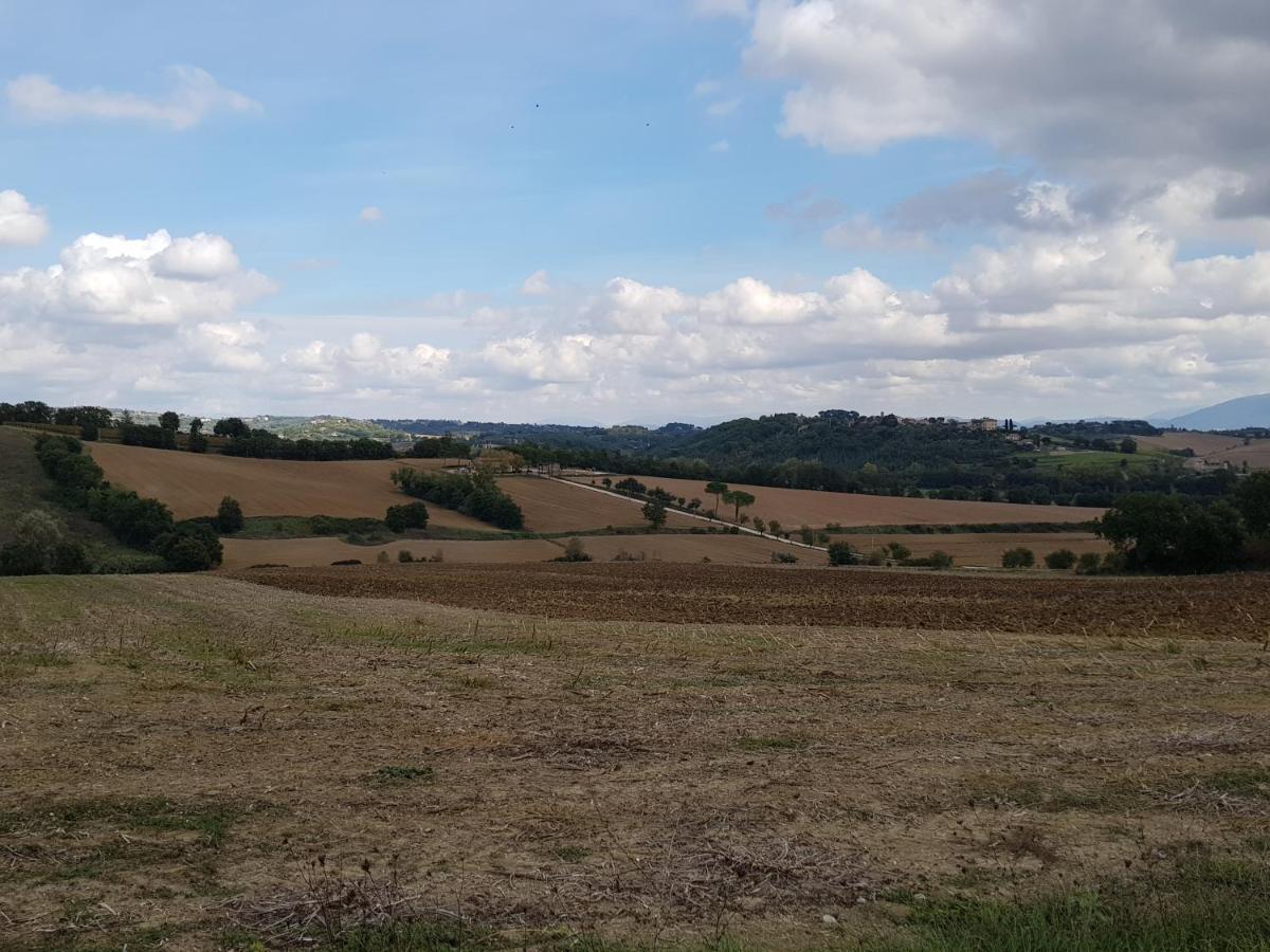Pila  Agriturismo Il Pappamerlo מראה חיצוני תמונה